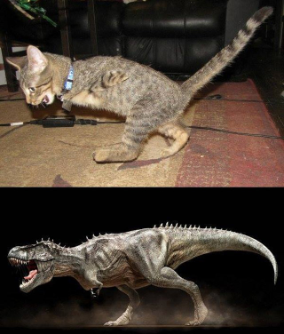 Illustration for article titled Mercury the two-legged cat does the world's cutest T. rex impressions